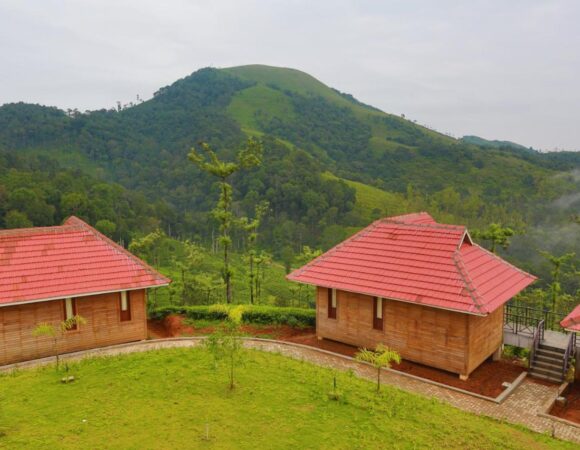 hill top cottages in Wild Planet Jungle Resort