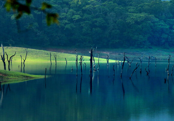 Spectacular Thekkady sightseeing package