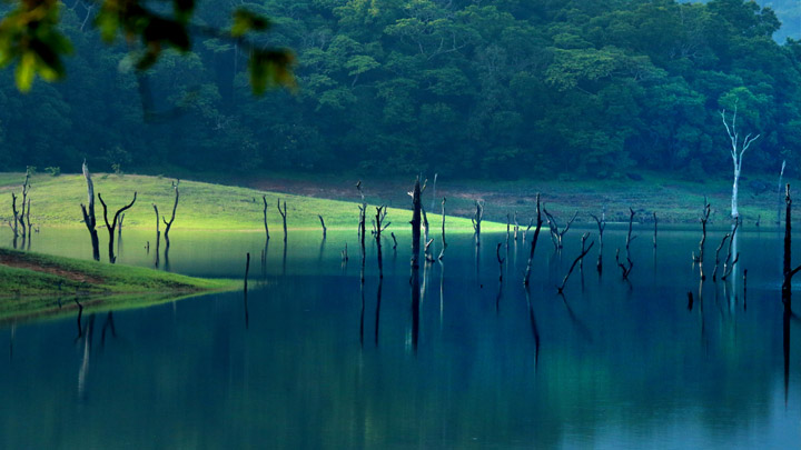 Spectacular Thekkady sightseeing package