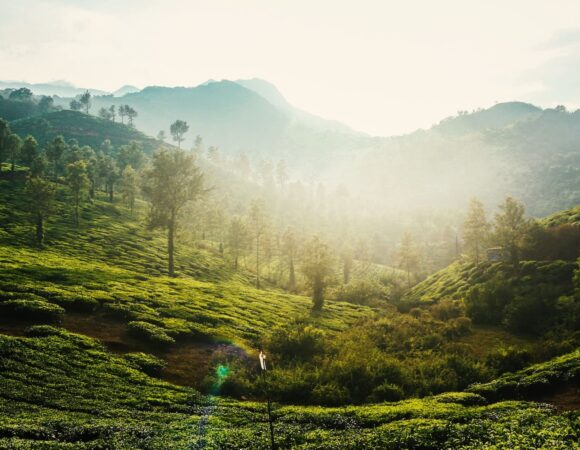 Fascinating Wayanad Honeymoon Trip