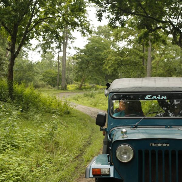 jeep safari at Wayanad