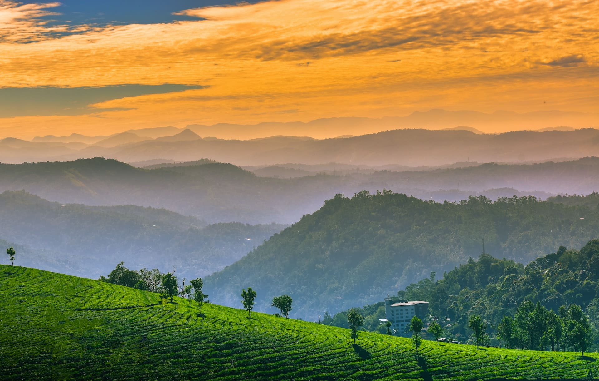 Munnar Travel Guide