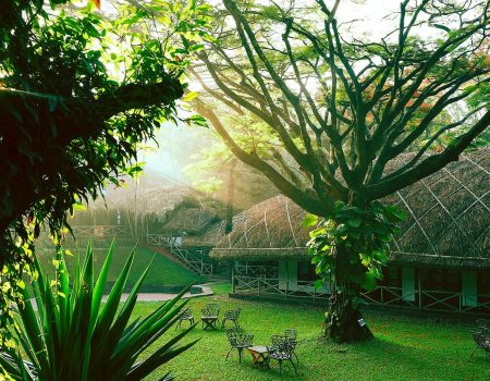 CGH Earth Spice Village resort Thekkady