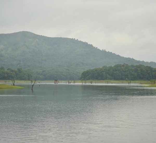 Thekkady tour packages -travilius