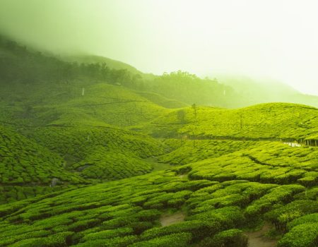 kerala honeymoon packages