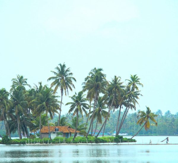 places to visit in Alleppey